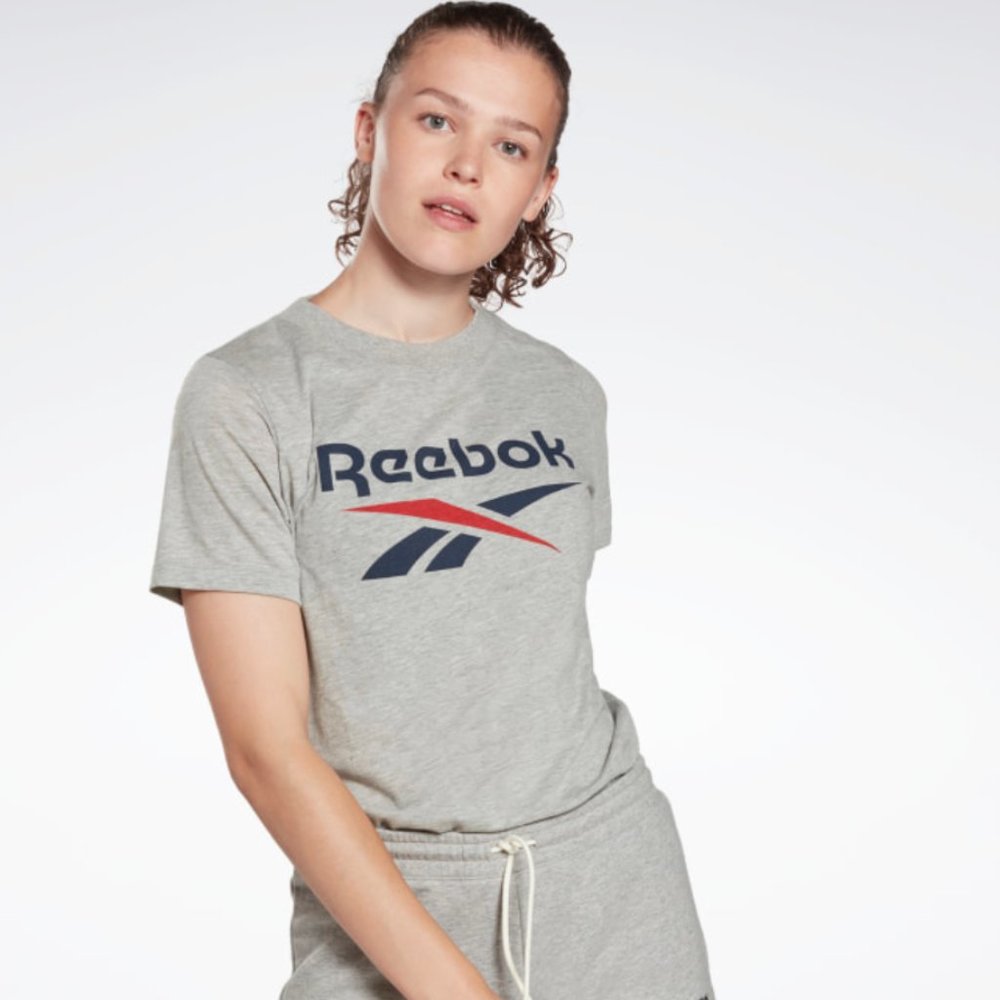 Reebok Identity Logo T-Shirt Grey Size Small New